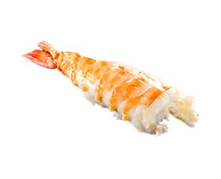天然大海老(一貫)の画像